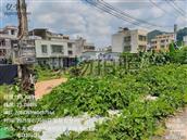 广东省,潮州市,湘桥区,意溪镇,古庵村