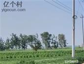 河南省,濮阳市,清丰县,马村乡,刘町村