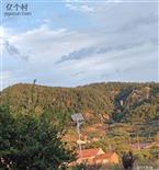 山东省,青岛市,城阳区,夏庄街道,南坡社区