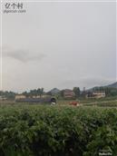 四川省,广安市,邻水县,长安乡,大堰村