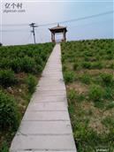 沙河村 