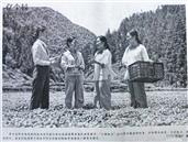 贵州省,黔东南州,榕江县,平阳乡,归备村