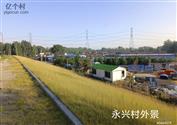 永兴村 