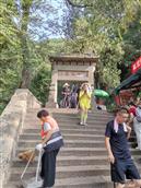 山东省,泰安市,新泰市,楼德镇,杨家庄村