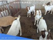 山东省,临沂市,莒南县,文疃镇,永兴村