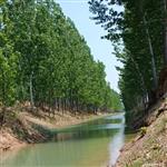 山东省,德州市,陵城区,徽王庄镇,梅庄村