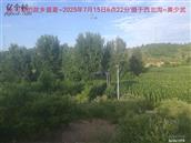 辽宁省,朝阳市,龙城区,半拉山街道,半拉山村