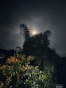 贵州省,毕节市,七星关区,放珠镇,天桥村