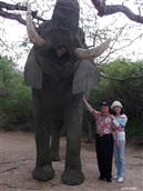 安徽省,滁州市,南谯区,大王街道,荇塘村