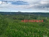 陕西省,延安市,富县,寺仙镇,兴民村