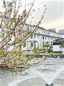 谈村 