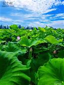 湖北省,黄冈市,浠水县,巴河镇,白畈三村