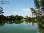广东省,佛山市,南海区,狮山镇,莲子塘村
