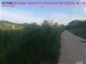 辽宁省,朝阳市,龙城区,半拉山街道,半拉山村