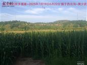 辽宁省,朝阳市,龙城区,半拉山街道,半拉山村