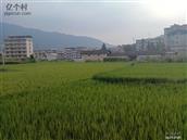 湖南省,邵阳市,隆回县,罗洪乡,官树下村