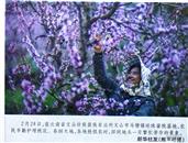 云南省,文山州,文山市,马塘镇,马塘村