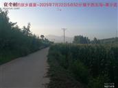 辽宁省,朝阳市,龙城区,半拉山街道,半拉山村