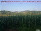 辽宁省,朝阳市,龙城区,半拉山街道,半拉山村