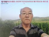 辽宁省,朝阳市,龙城区,半拉山街道,半拉山村