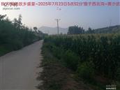 辽宁省,朝阳市,龙城区,半拉山街道,半拉山村