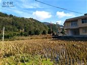 湖北省,恩施州,宣恩县,晓关乡,卧西坪村