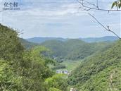 云南省,文山州,广南县,旧莫乡,板榔村