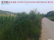 辽宁省,朝阳市,龙城区,半拉山街道,半拉山村