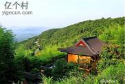 浙江省,湖州市,德清县,莫干山镇,高峰村