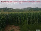 辽宁省,朝阳市,龙城区,半拉山街道,半拉山村