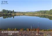 永兴村 