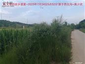 辽宁省,朝阳市,龙城区,半拉山街道,半拉山村