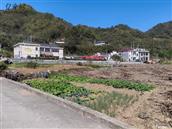湖北省,十堰市,郧阳区,鲍峡镇,东沟村