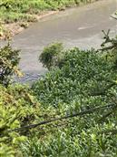 贵州省,六盘水市,盘州市,英武乡,沙姑村