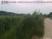 辽宁省,朝阳市,龙城区,半拉山街道,半拉山村