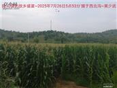 辽宁省,朝阳市,龙城区,半拉山街道,半拉山村