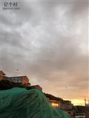 杨柳新村 