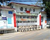 广东省,广州市,增城区,中新镇,田美村