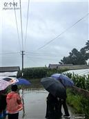 吉林省,长春市,德惠市,岔路口镇,北长沟村