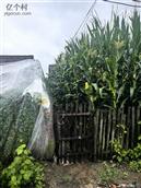 吉林省,长春市,德惠市,岔路口镇,北长沟村