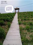 沙河村 