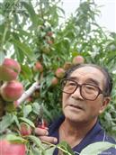 陕西省,渭南市,蒲城县,洛滨镇,南店村