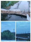 广东省,阳江市,江城区,埠场镇,那蓬村