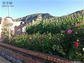 山西省,大同市,灵丘县,赵北乡,跃子沟村