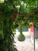 山西省,大同市,灵丘县,赵北乡,跃子沟村