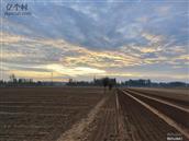 河南省,开封市,杞县,西寨乡,大寨村