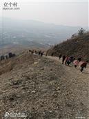 山东省,临沂市,蒙阴县,高都镇,邓家崖村