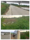 广东省,阳江市,江城区,埠场镇,那蓬村