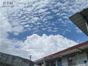 陕西省,延安市,宝塔区,柳林镇,王家沟村