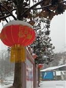 河南省,南阳市,淅川县,荆紫关镇,菩萨堂村